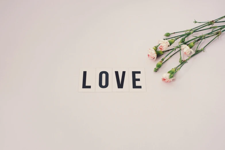 a bunch of flowers sitting on top of a white surface, tumblr, romanticism, typography, making love, wall art, lowshot