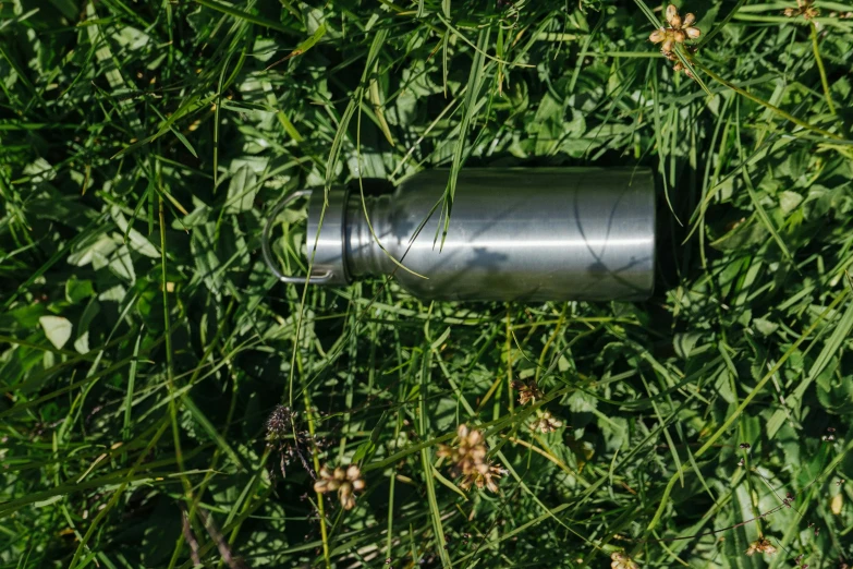 a can that is laying in the grass, by Erwin Bowien, unsplash, stainless steel, bottle, dezeen, hiding in grass