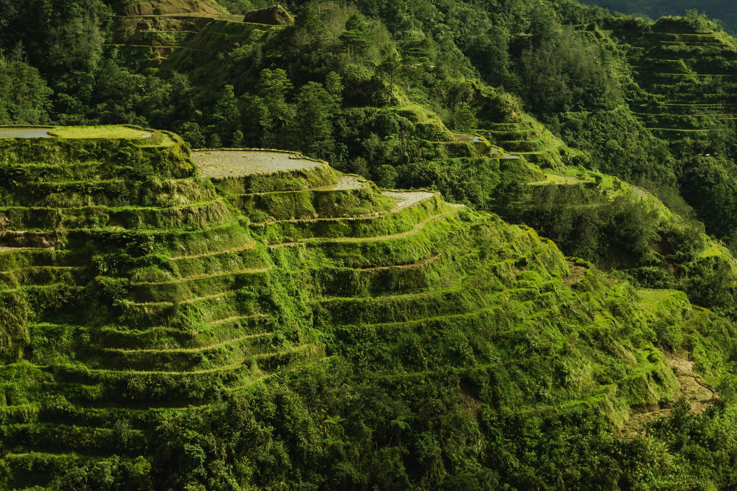 a group of people standing on top of a lush green hillside, inspired by Fernando Amorsolo, pexels contest winner, staggered terraces, ready to eat, panoramic shot, zoomed out