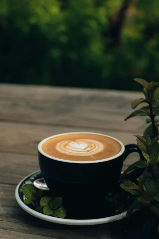 a cup of coffee sitting on top of a wooden table, lush foliage, daily specials, paul barson, uncropped