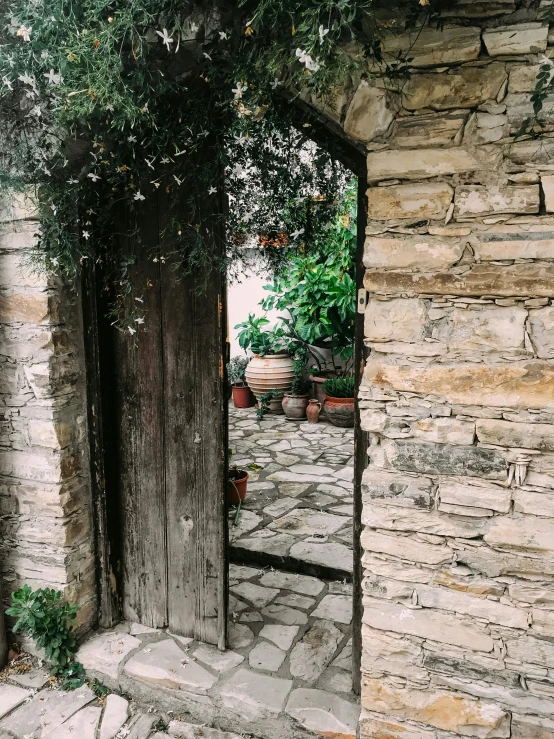 an open door in a stone building with potted plants, a picture, pexels contest winner, ✨🕌🌙, olive trees, garden at home, slightly pixelated