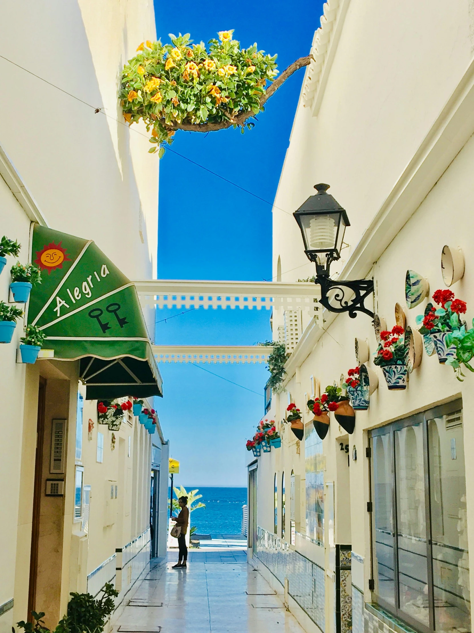 a person walking down a narrow street next to the ocean, lamps and flowers, blue sky above, apulia, profile image