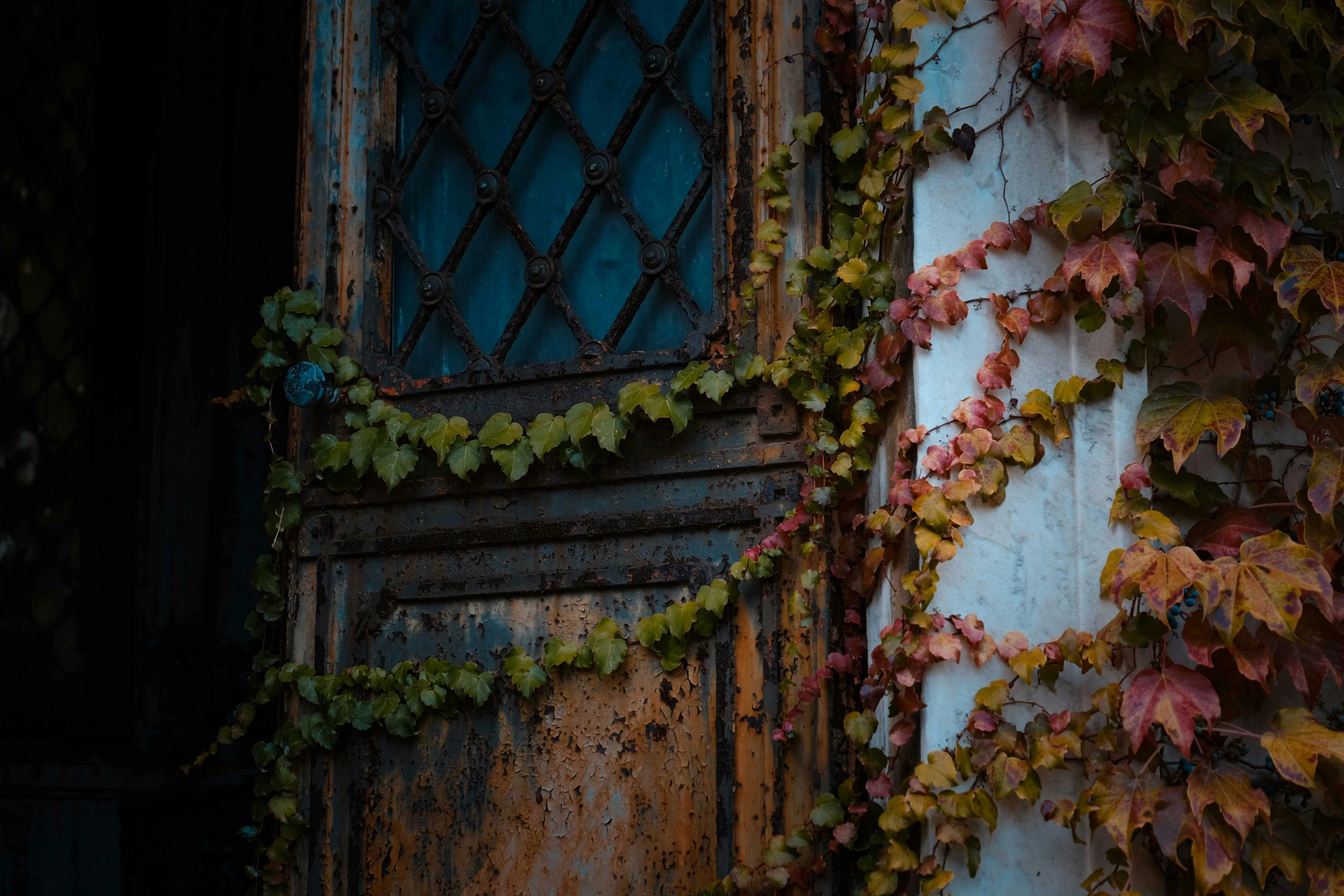 a close up of a door with vines on it, inspired by Elsa Bleda, pexels contest winner, late autumn, ((rust)), multicolored, kacper niepokolczycki