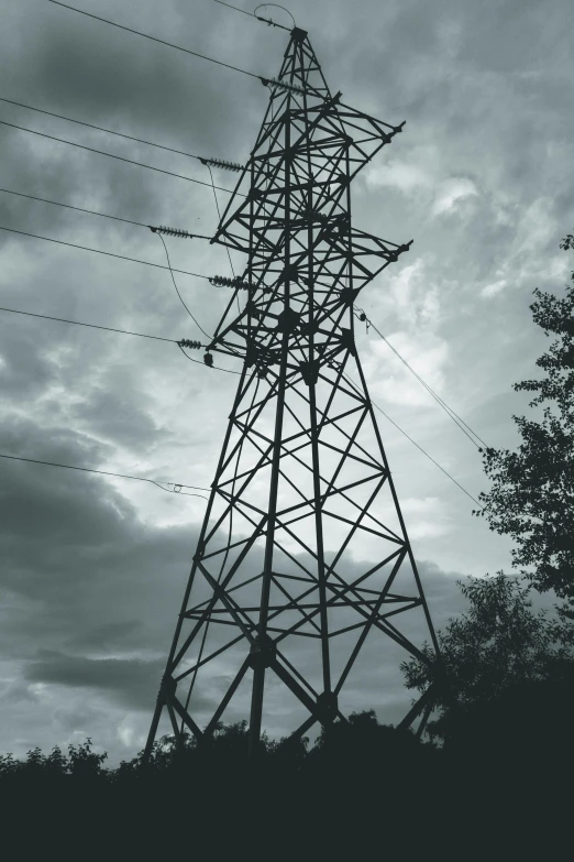 a black and white photo of an electricity tower, an album cover, unsplash, renaissance, a green, low quality photo, nature photo, concerned