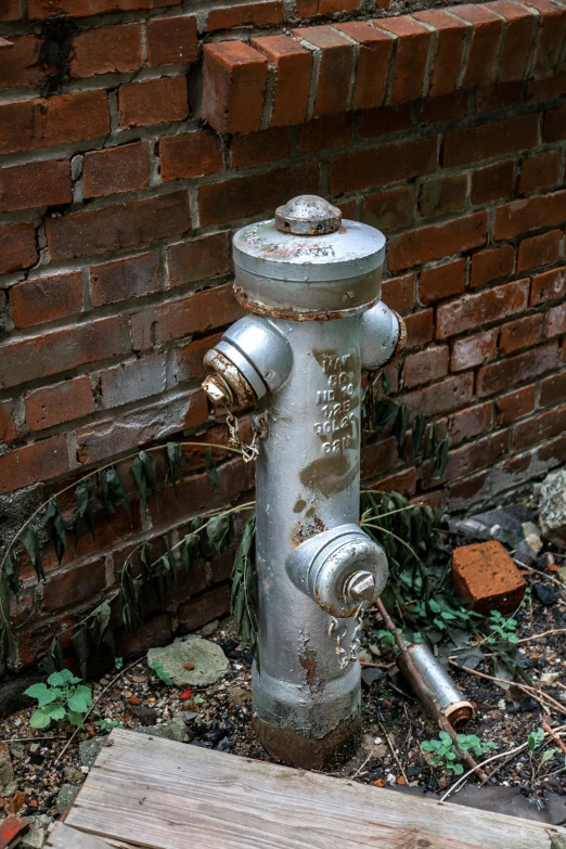 a silver fire hydrant sitting next to a brick wall, auto-destructive art, heavy conduits, water stains, pillar, former