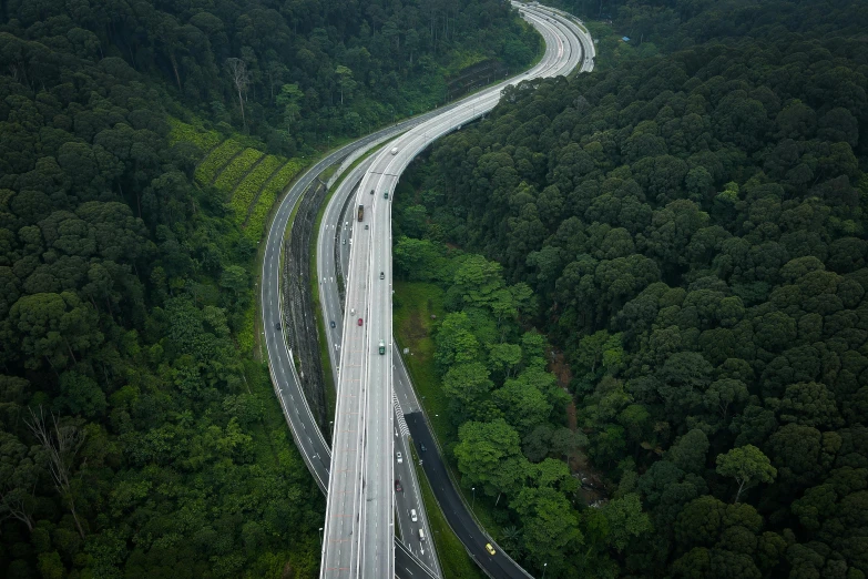 an aerial view of a highway in the middle of a forest, unsplash contest winner, hurufiyya, malaysia jungle, thumbnail, multiple stories, hyperrealistic n- 4