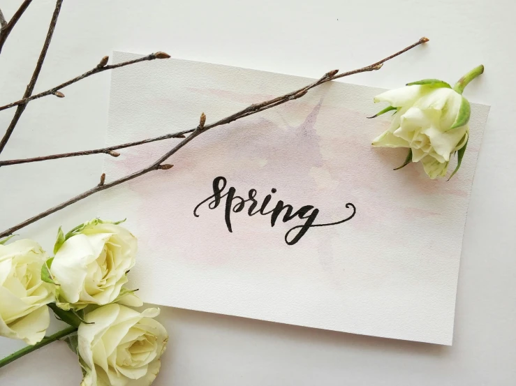 a piece of paper with the word spring written on it, a picture, trending on pixabay, happening, white roses, indoor picture, estrange calligraphy, background image