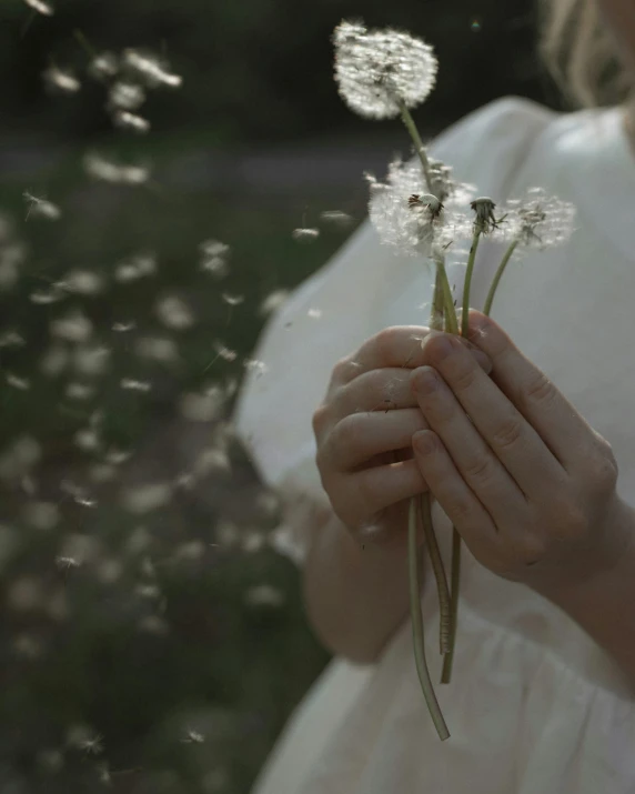 a little girl holding a bunch of dandelions in her hands, inspired by Elsa Bleda, unsplash contest winner, romanticism, ignant, resin, low quality photo, whirling