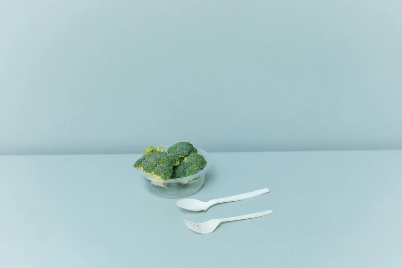 a bowl of broccoli sitting on top of a table, by Eizan Kikukawa, minimalism, spoon, posable pvc, pale blue, two