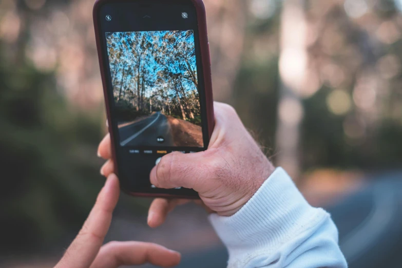 a person taking a picture with their cell phone, a picture, by Dan Content, trending on pexels, with a tree in the background, standing in road, close up to the screen, avatar image