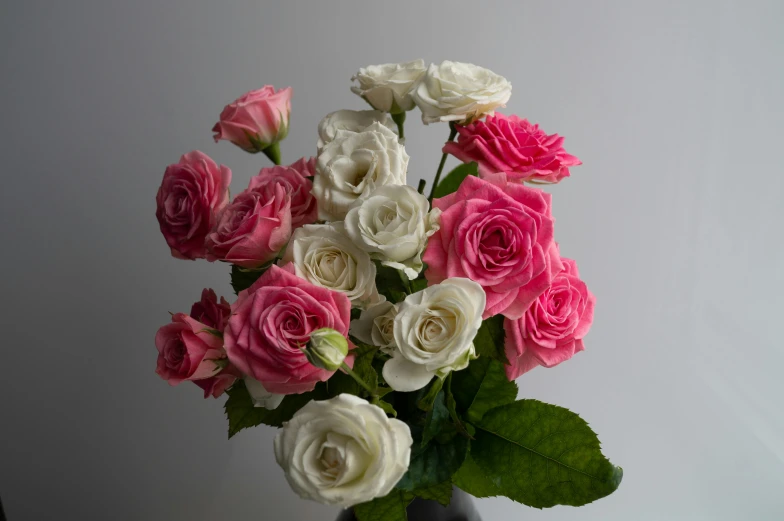 a vase filled with pink and white roses, inspired by Pierre-Joseph Redouté, unsplash, finely textured, close together, various posed, front facing