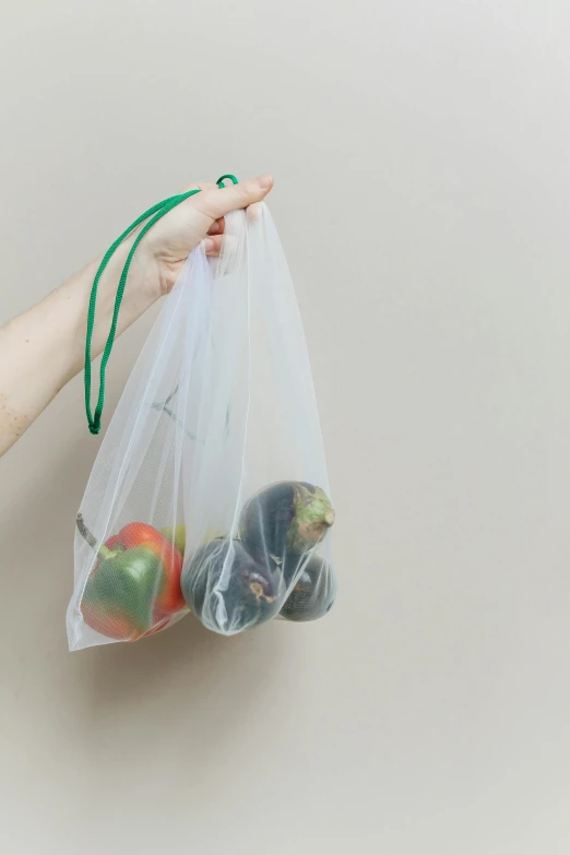 a person holding a bag full of fruit, made out of plastic, press shot, gourd, semi-transparent