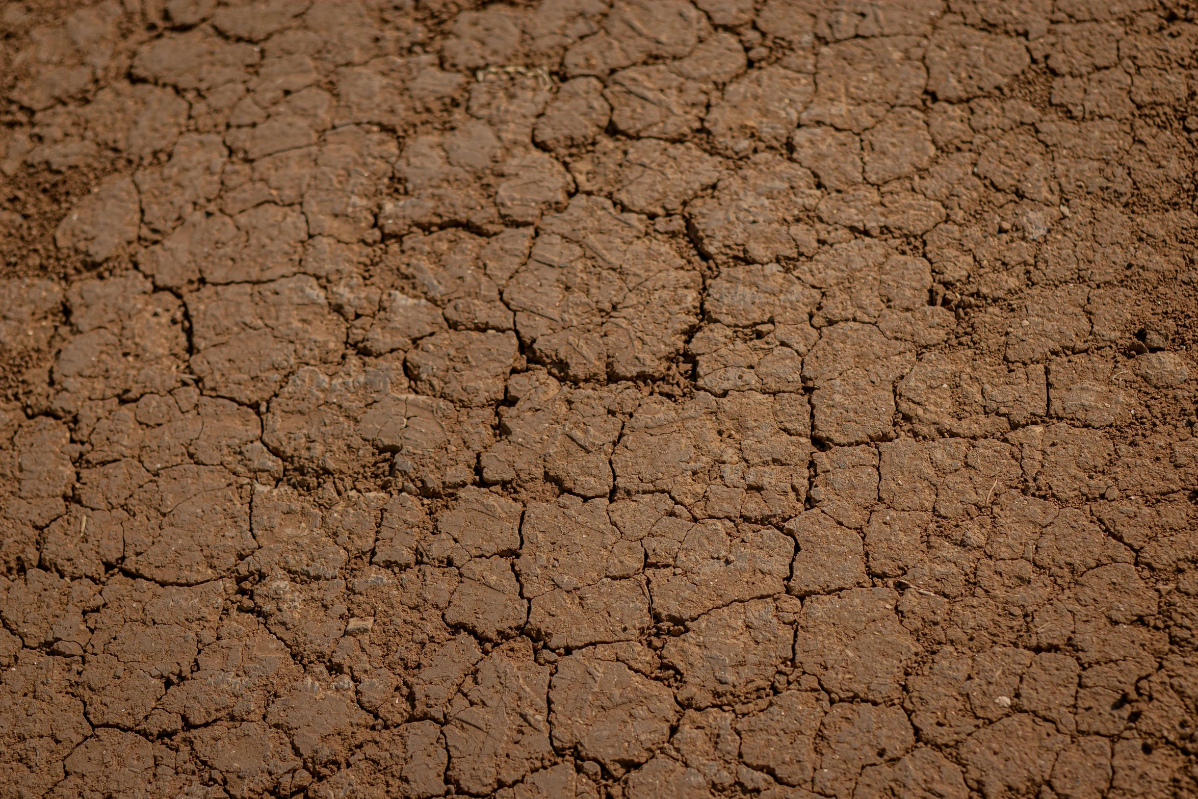 a wall that has some dirt on it, unsplash, conceptual art, brown mud, background image, 1 6 x 1 6, close - up portrait shot