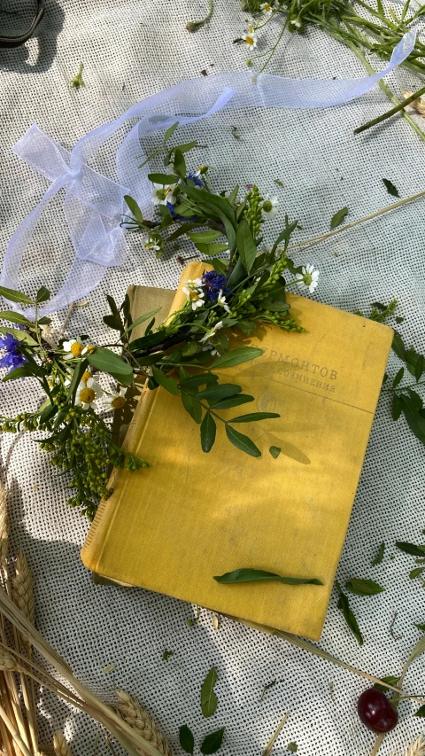 a book sitting on top of a table covered in flowers, yellow and greens, natural materials, crown of blue flowers, low quality photo