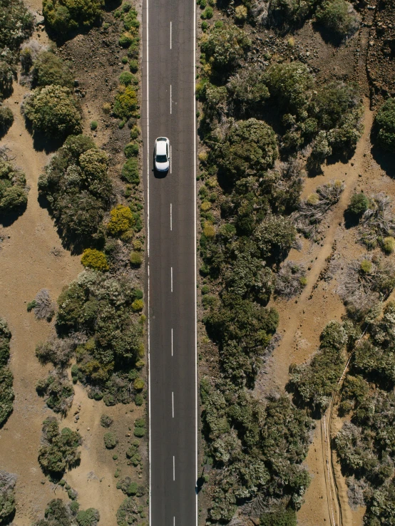 an aerial view of a road surrounded by trees, by Lee Loughridge, unsplash contest winner, hurufiyya, full view of a car, in australia, thumbnail, square