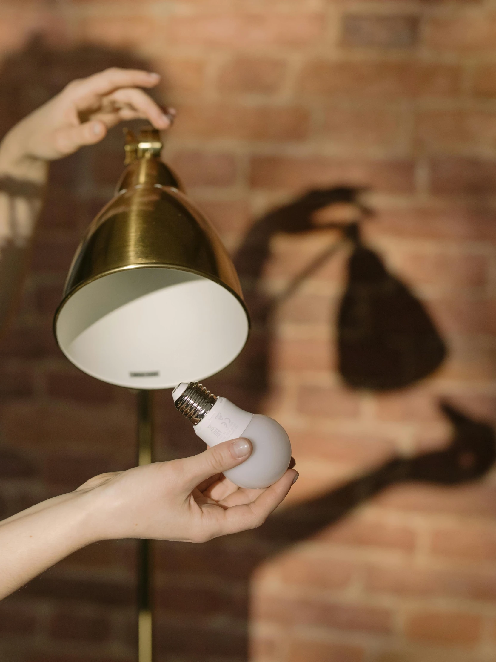 a woman holding a lamp in front of a brick wall, pexels contest winner, innovative product concepts, ignant, porcelain, gold light