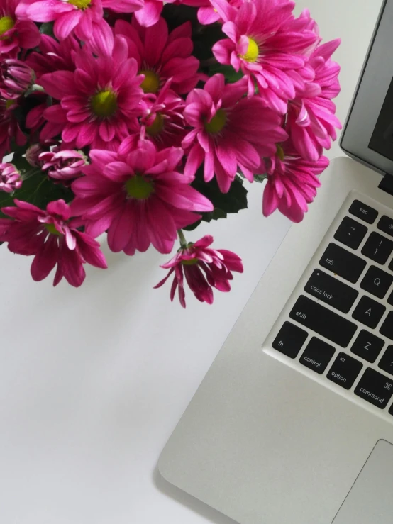 a laptop computer sitting next to a bouquet of flowers, pexels, pink accents, low quality photo, chrysanthemum, modelling