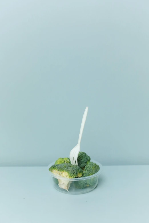a bowl of broccoli with a fork in it, by Ryan Pancoast, unsplash, conceptual art, 9 0 mm studio photograph tiny, semi-transparent, 🐿🍸🍋, rinko kawauchi