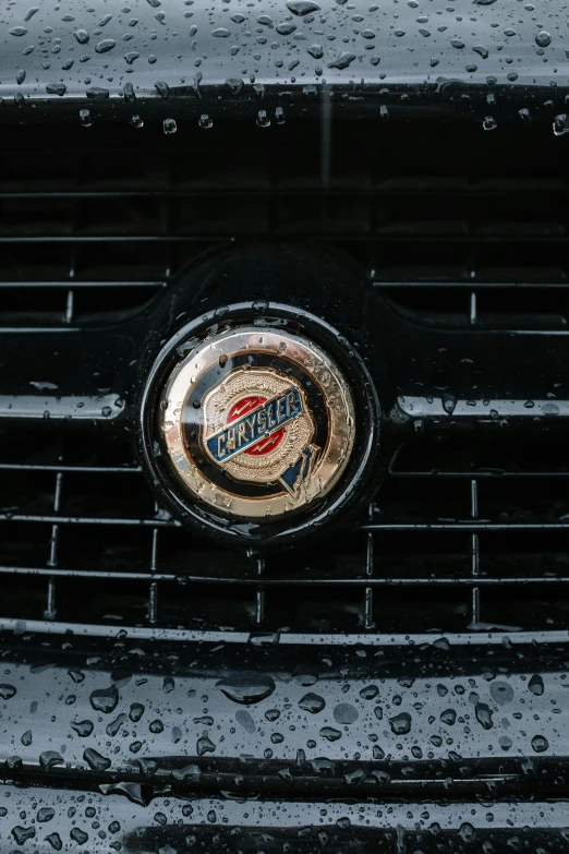 a close up of a car's grille on a rainy day, by Daniel Seghers, pexels contest winner, renaissance, circular logo, cleveland, giants, 🚿🗝📝