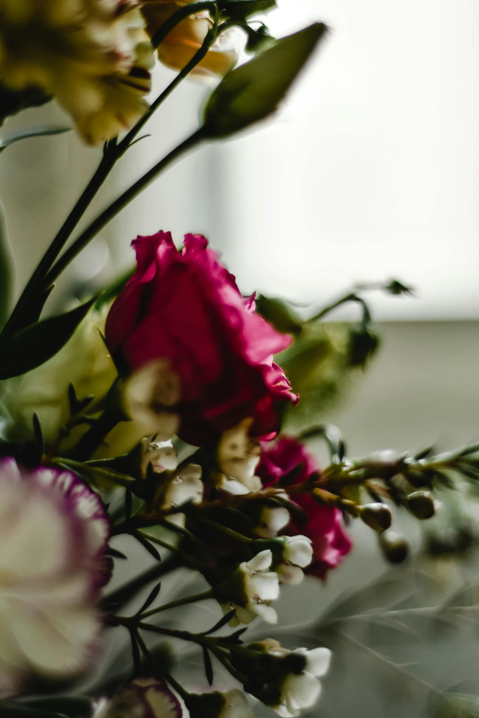 a close up of a bunch of flowers in a vase, a still life, unsplash, multiple stories, magenta and gray, flowers and vines, detail shot