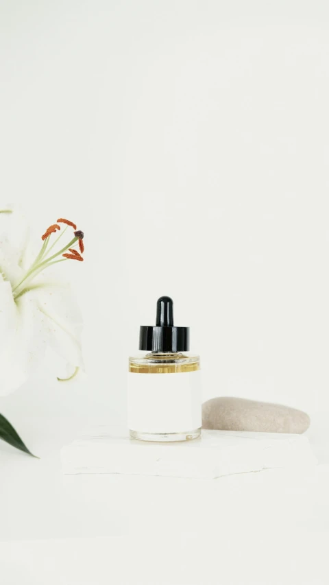 a bottle of perfume next to a flower, unsplash, minimalism, low quality photo, thumbnail