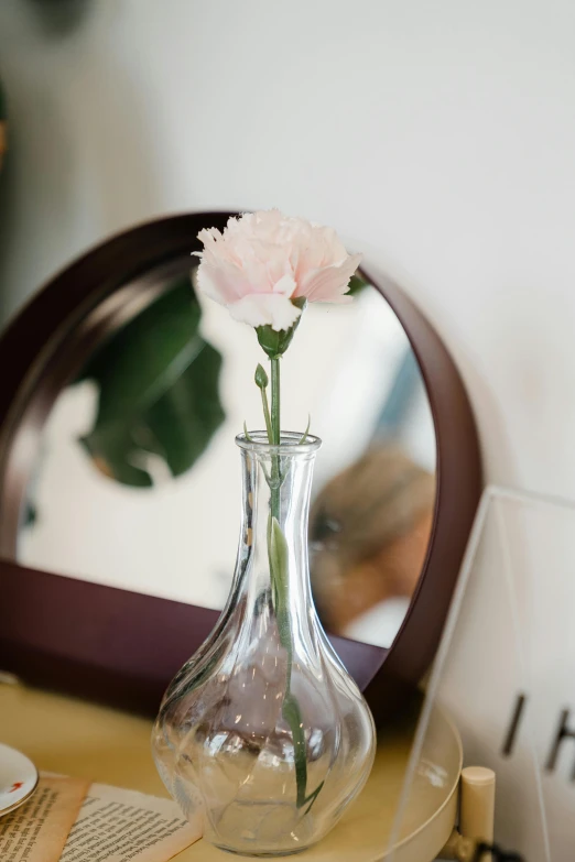 a vase sitting on top of a table next to a mirror, pink flower, detail shot, full product shot, carnation