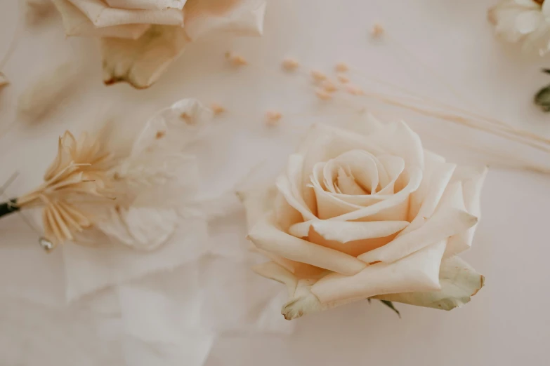 a close up of a bunch of flowers on a table, light blush, soft sepia tones, heavenly marble, highly rendered