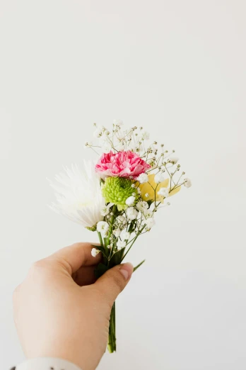 a person holding a bunch of flowers in their hand, unsplash, minimalism, with a white background, micro detailed, mix, aww