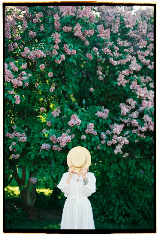 a woman in a white dress and a straw hat, inspired by Oleg Oprisco, unsplash, lilac bushes, analogue photo, parks and gardens, poster ; summer