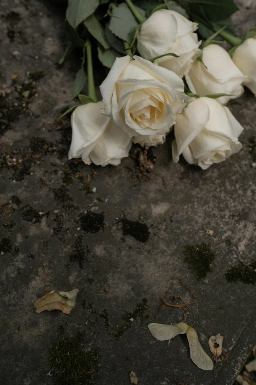 a bunch of white roses laying on the ground, photograph credit: ap, panel, with tears, photographed from the back