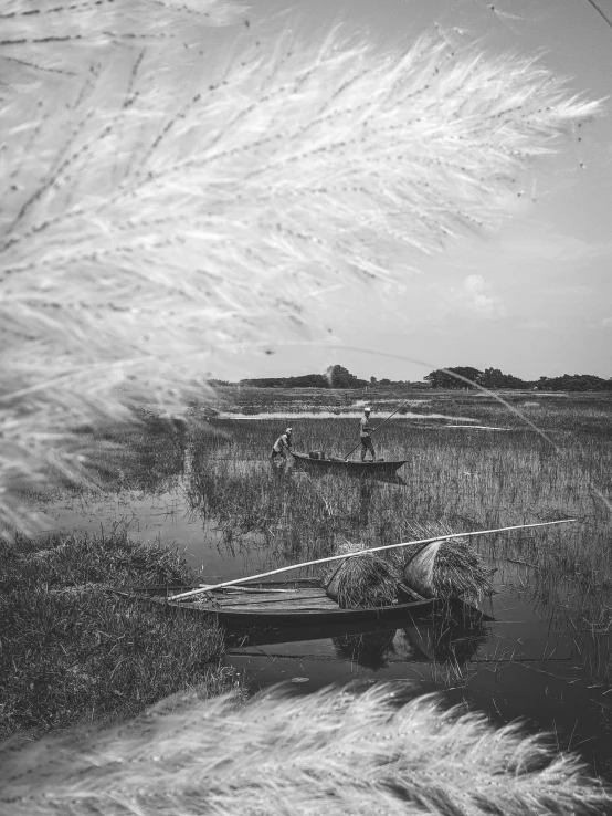 a boat sitting on top of a lake next to tall grass, a black and white photo, by Sudip Roy, cinematic. by leng jun, single bangla farmer fighting, cai xukun