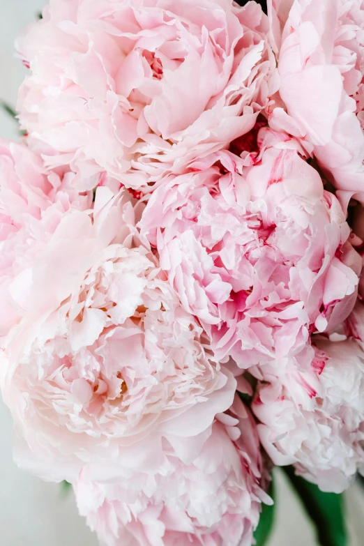 a vase filled with pink flowers on top of a table, zoomed in, peony, award - winning, soft colors