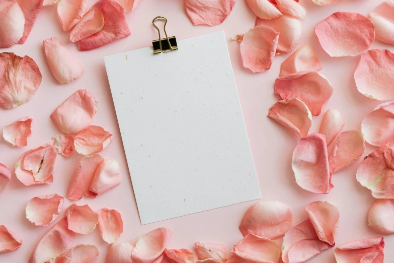 a piece of paper sitting on top of a pile of rose petals, by Carey Morris, pexels contest winner, romanticism, pink pastel, background image, card template, thumbnail
