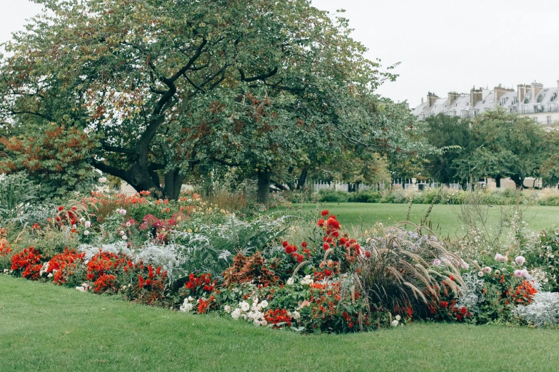 a park filled with lots of flowers and trees, inspired by William MacTaggart, unsplash, payne's grey and venetian red, botanic foliage, lawns, autumnal