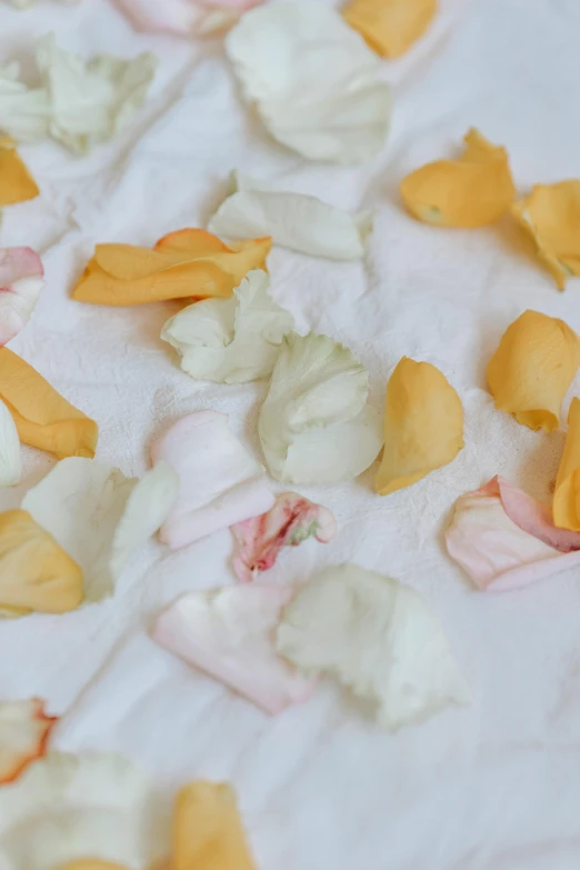 a close up of flower petals on a bed, by Jessie Algie, unsplash, process art, peeled oranges, pastel roses, porcelain organic tissue, 2 0 1 0 s