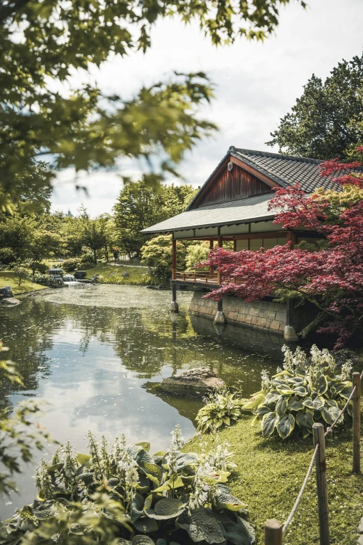 a japanese garden with a pond in the foreground, photo of zurich, exterior botanical garden, japanese collection product, peaked wooden roofs