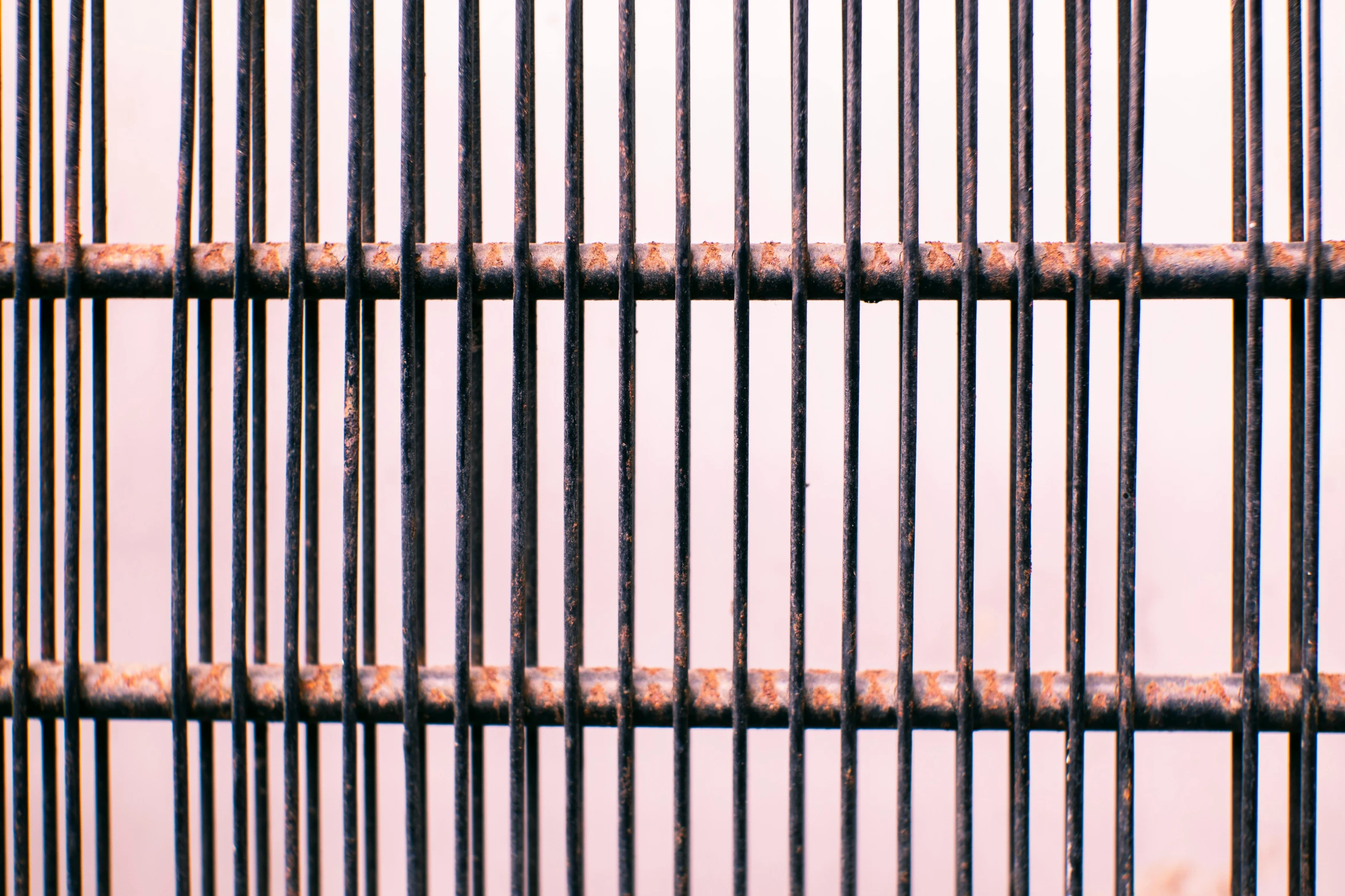 a bird that is sitting in a cage, inspired by Andreas Gursky, minimalism, bamboo, close-up 35mm macro shot, iron arc gate door texture, portra 8 0 0 ”