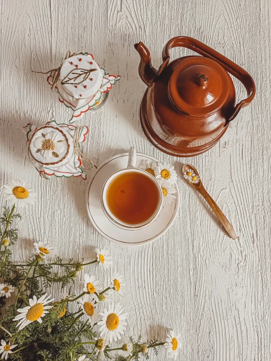 a tea pot sitting on top of a table next to a cup of tea, by Lucia Peka, trending on pexels, chamomile, ocher details, 🤠 using a 🖥, flatlay