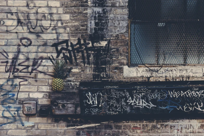 a brick wall covered in graffiti next to a window, inspired by Elsa Bleda, unsplash, in a tropical and dystopic city, sneaker photo, goth aesthetic, background image