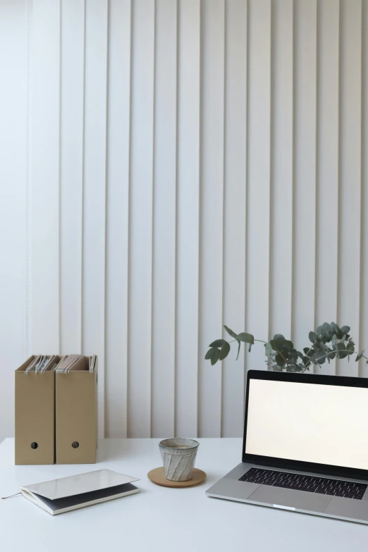 a laptop computer sitting on top of a white desk, by Harvey Quaytman, postminimalism, coated pleats, vertical wallpaper, next to a plant, cardboard