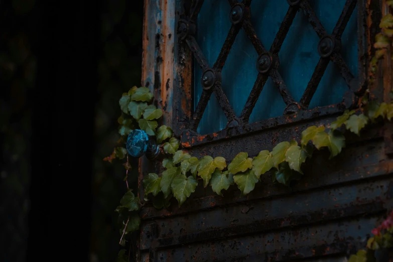 a close up of a window on a building, inspired by Elsa Bleda, pexels contest winner, assemblage, vines and blue foliage, iron gate, colorful and dark, shack close up