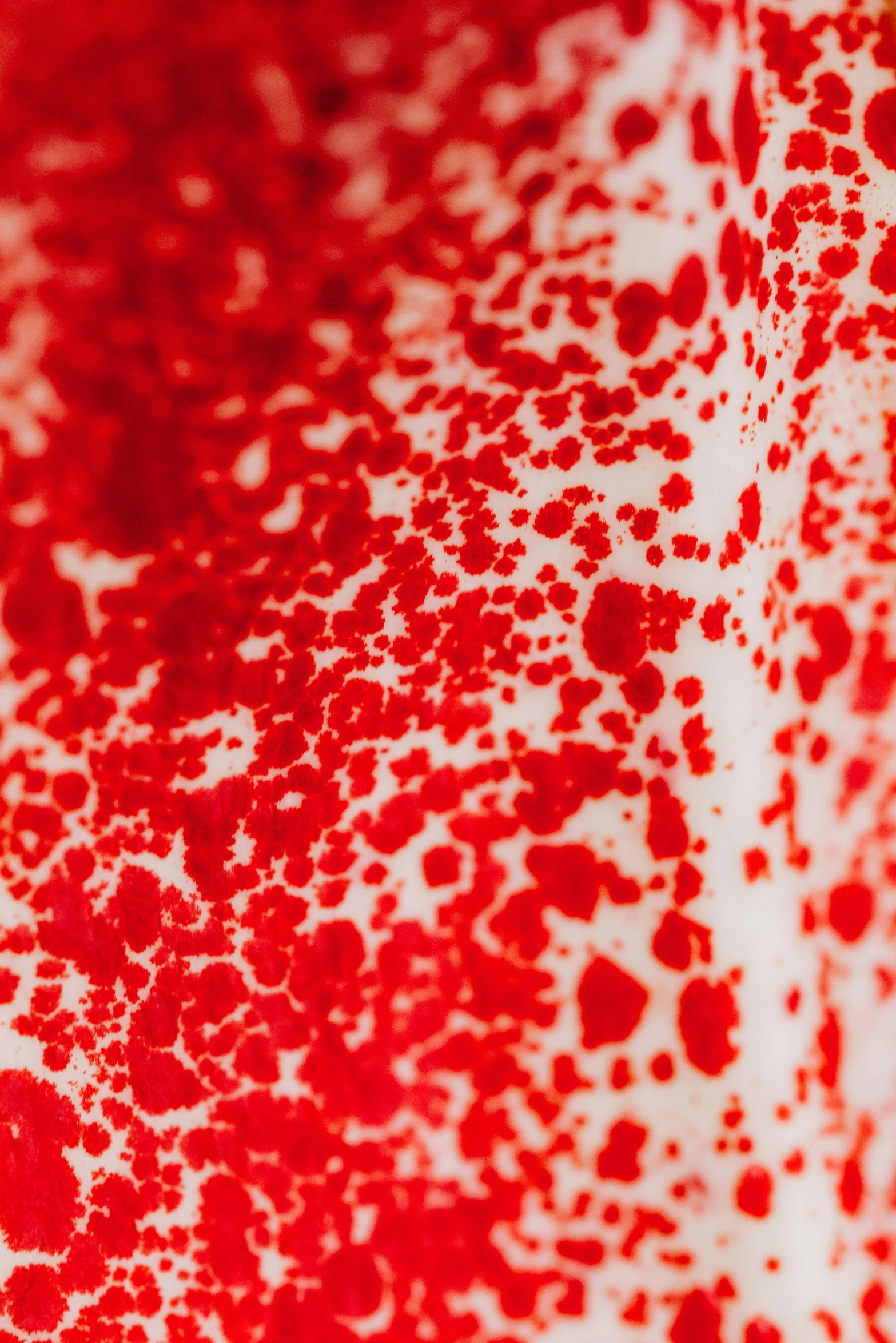 a close up of a red and white shirt, a microscopic photo, inspired by Pollock, flickr, [[blood]], red curtain, high quality photo, made of blood