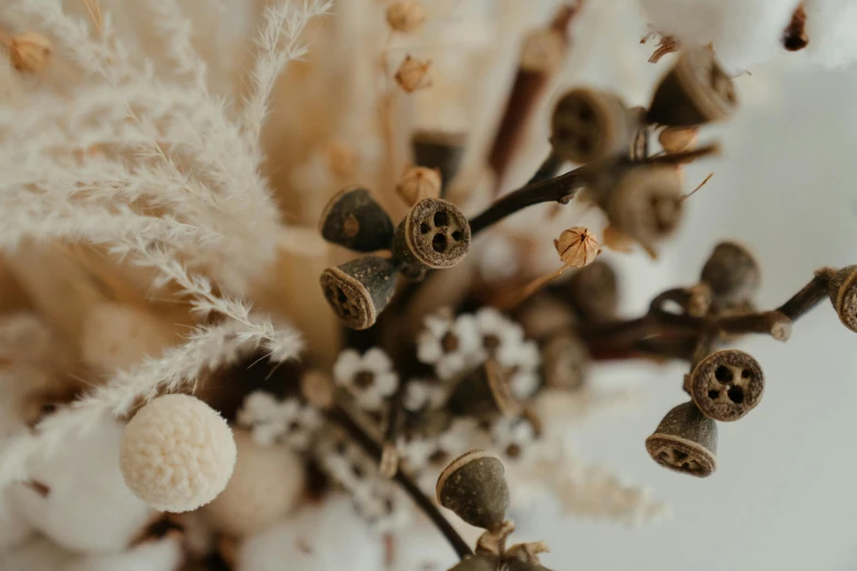 a close up of a bunch of dried flowers, by Carey Morris, trending on pexels, brown and white color scheme, bells, berries inside structure, close-up product photo