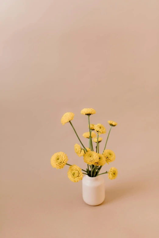 a white vase with yellow flowers in it, by Jessie Algie, unsplash, minimalism, soft yellow background, various posed, tufted softly, kailee mandel