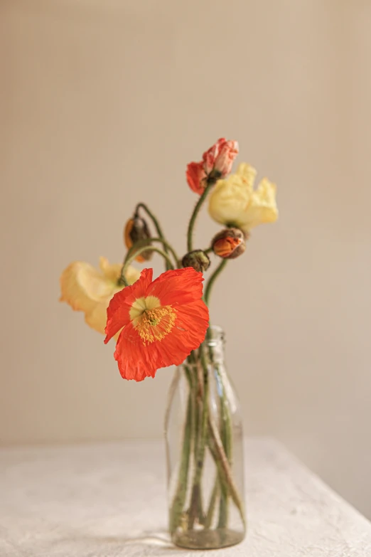 a vase filled with flowers sitting on top of a table, by Jessie Algie, unsplash, photorealism, himalayan poppy flowers, faded red and yelow, made of silk paper, ( ultra realistic