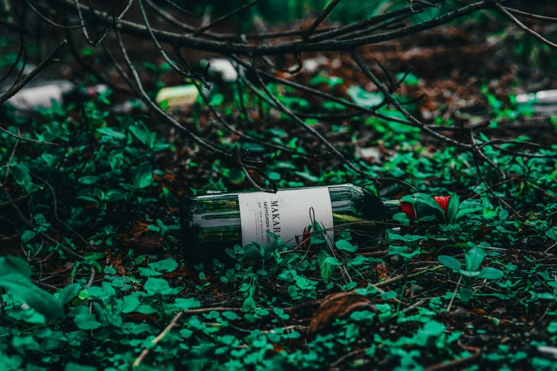 a bottle that is sitting in the grass, inspired by Elsa Bleda, pexels contest winner, with a few vines and overgrowth, forest floor, crashed, promo image