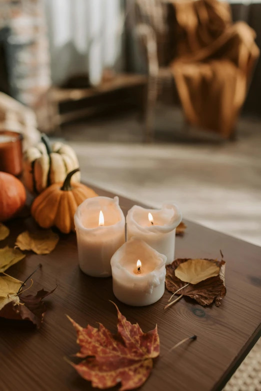 a group of candles sitting on top of a wooden table, fall leaves on the floor, promo image, sun lighting, trio