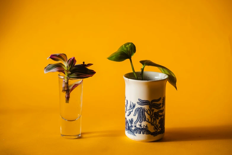 a couple of vases sitting next to each other, inspired by Hendrik Gerritsz Pot, unsplash, plants in glasses, miniature product photo, blue and yellow fauna, the earth sprouts lava