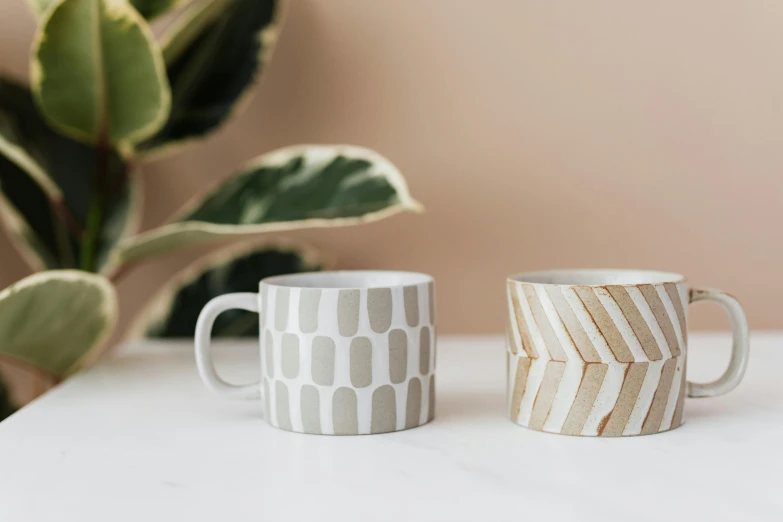 two coffee mugs sitting next to each other on a table, inspired by Fernando Gerassi, featured on pinterest, subtle pattern, close-up product photo, on grey background, plant patterns