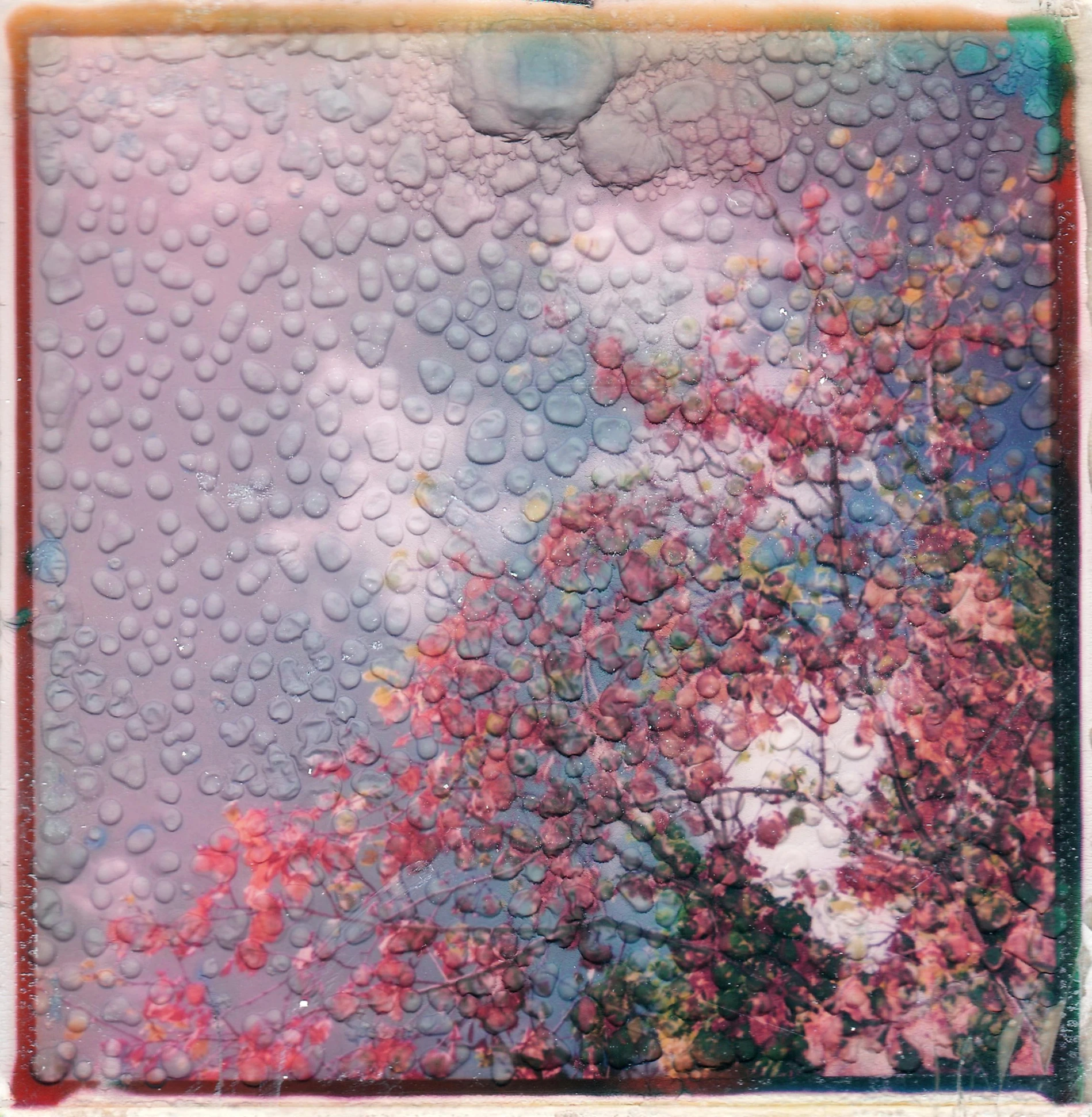 a picture of a tree with lots of bubbles on it, inspired by Julian Schnabel, polaroid collage, pink storm clouds, autumn rain turkel, blotter art